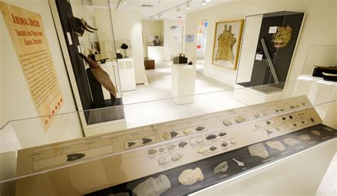 smithsonian museum anthropology.